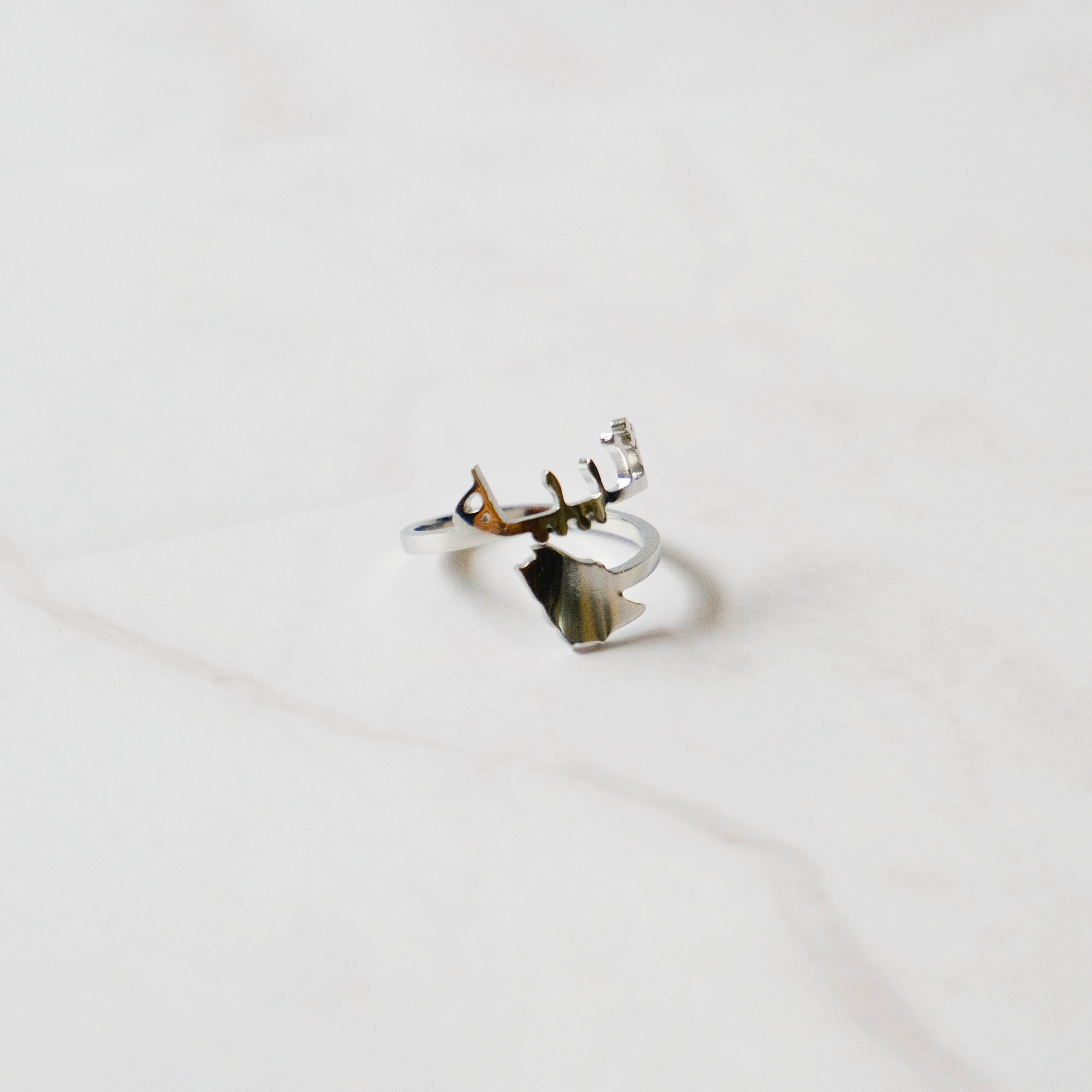 Sterling Silver Custom Map Name Ring (Adjustable/One Size)
