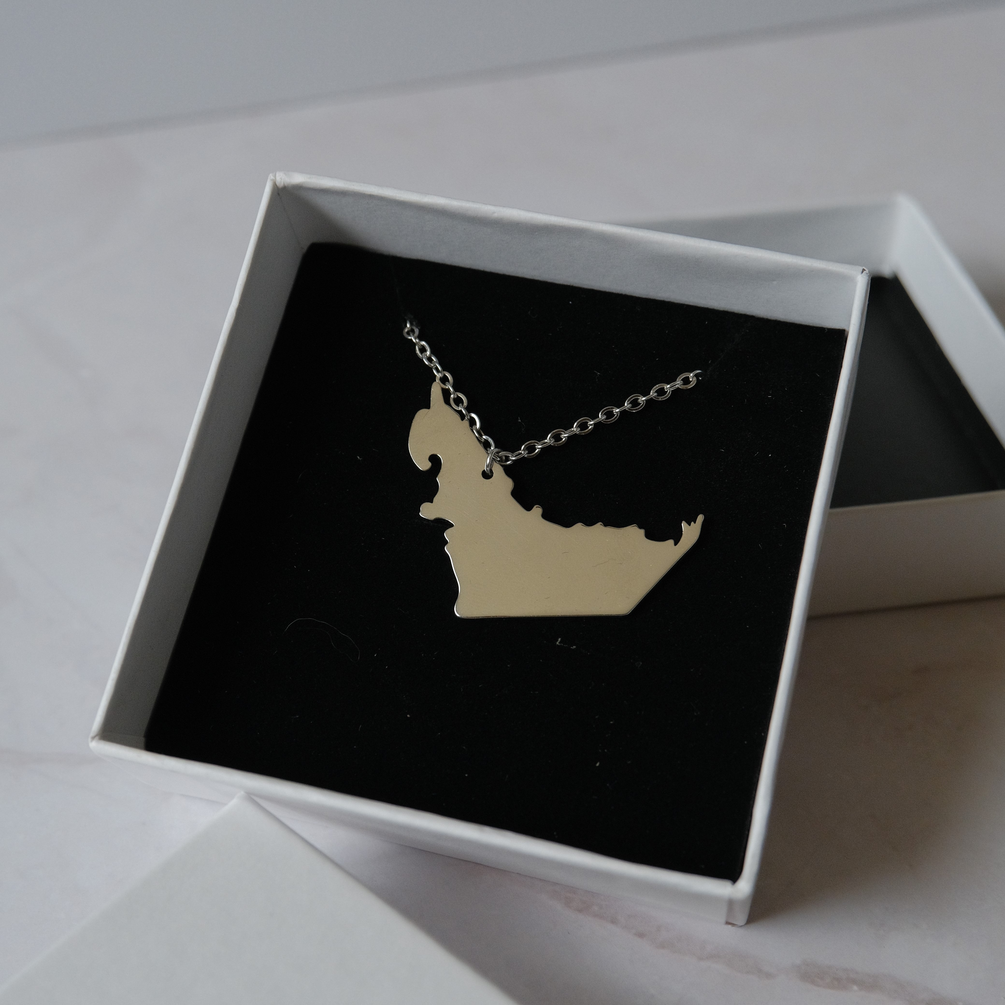 Sterling Silver Map Necklace